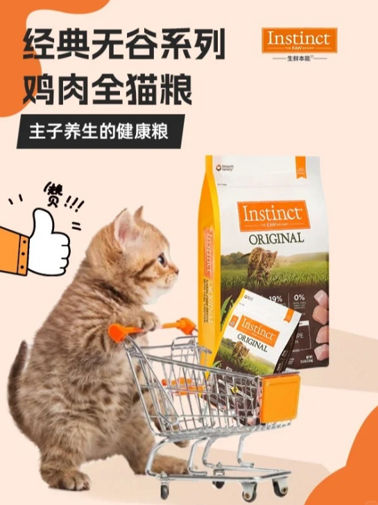 2025猫粮推荐排行榜:肠胃敏感猫咪的高性价比之选 2025猫粮推荐排行榜:肠胃敏感猫咪的高性价比之选