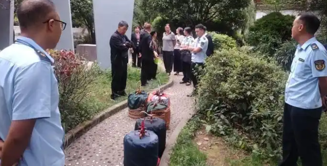 11只画眉鸟被放生 大方县严厉打击破坏野生动物资源违法行为 11只画眉鸟被放生 大方县严厉打击破坏野生动物资源违法行为