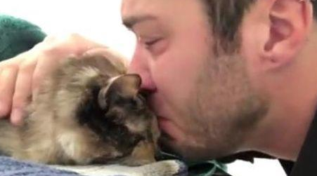主人与猫分别几年，再相遇却是最后一次见面，猫咪的反应令人泪目