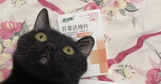 宠医推荐!康洛星芬苯达唑片,温和驱虫好选择 宠医推荐!康洛星芬苯达唑片,温和驱虫好选择