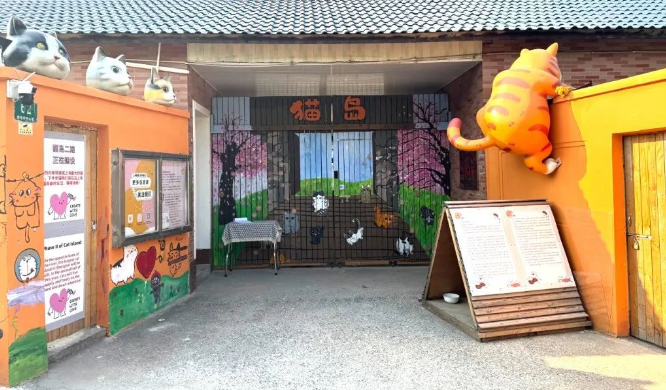 从收容到共生,上海猫岛成为城市治理样本 从收容到共生,上海猫岛成为城市治理样本