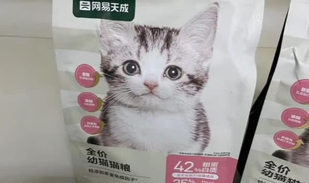 2025国产十大放心猫粮品牌排行榜：网易天成猫粮凭鲜食工艺成优选
