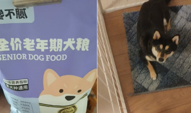 老年狗狗粮品牌推荐馋不腻，其老年期狗粮专为大龄狗狗研制