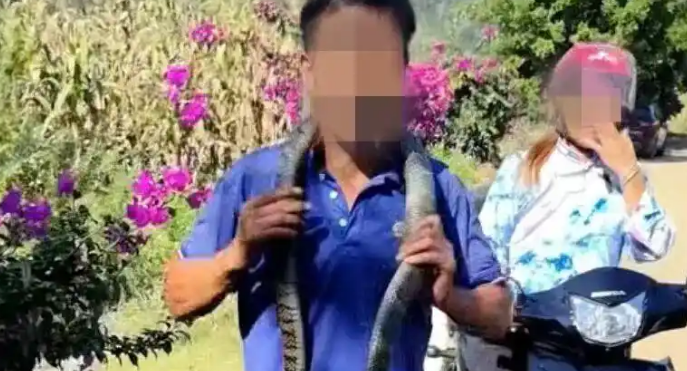 贵州一男子将眼镜蛇挂在脖子上玩,被咬一口毙命 贵州一男子将眼镜蛇挂在脖子上玩,被咬一口毙命