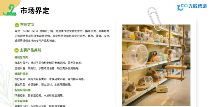 从消费人群到品牌，2025年小宠异宠用品市场浅析