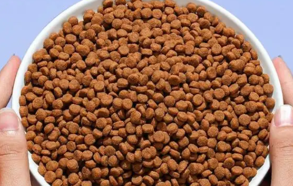 宠小半猫粮怎么样 宠小半猫粮怎么样