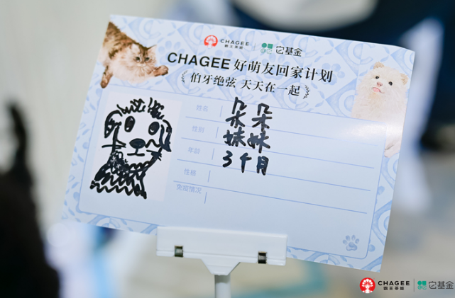霸王茶姬2025宠物友好季:以茶为媒,传递爱与善意 霸王茶姬2025宠物友好季:以茶为媒,传递爱与善意