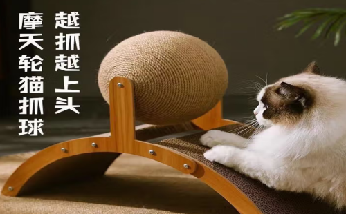 梗佶