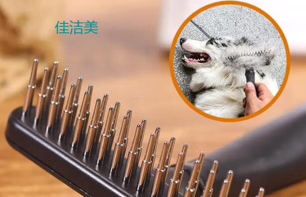 佳洁美宠物梳子可以给人用吗 佳洁美宠物梳子可以给人用吗