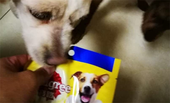狗零食品牌排名亮眼!宝路鲜香肉味脯成爱宠优选 狗零食品牌排名亮眼!宝路鲜香肉味脯成爱宠优选