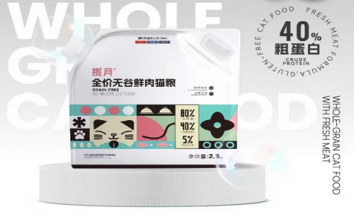 揽月