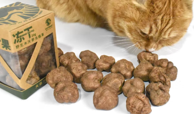 猫咪零食推荐:猫咪旺农场虫瘿果冻干品质可靠! 猫咪零食推荐:猫咪旺农场虫瘿果冻干品质可靠!
