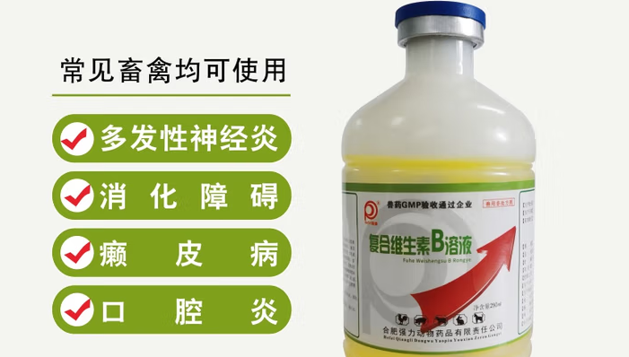 畜禽缺乏营养怎么办?瑞森复合维生素B溶液来帮忙 畜禽缺乏营养怎么办?瑞森复合维生素B溶液来帮忙