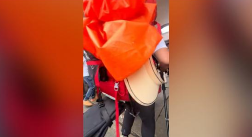 两名盲人带导盲犬爬泰山引争议：网友呼吁将狗狗收回