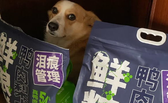 老年小型犬狗粮推荐——鲜粮说鸭肉梨狗粮，降火易消化实测有效