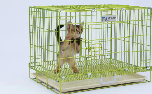 泊艺特