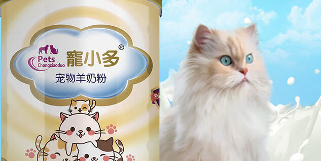 宠小多羊奶粉多少钱
