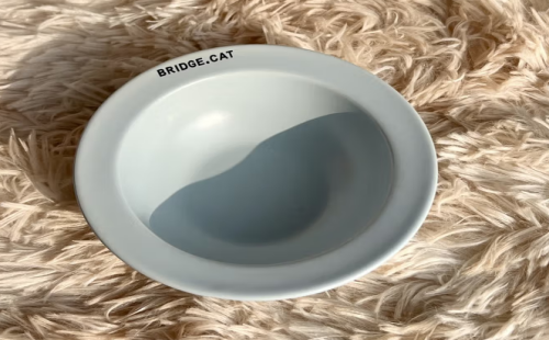 拔喜塔