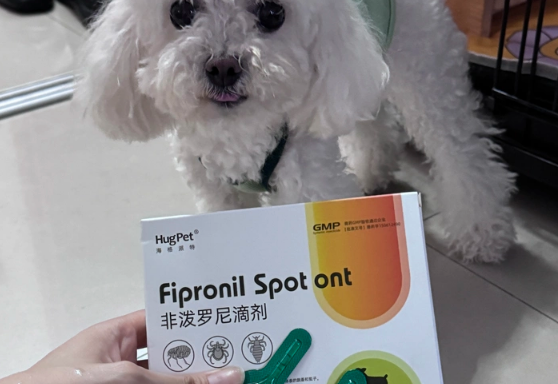 狗狗体外驱虫怎么办,选择Hugpet滴剂,让毛孩子远离虫害困扰 狗狗体外驱虫怎么办,选择Hugpet滴剂,让毛孩子远离虫害困扰