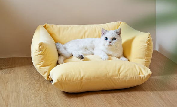 Joyboox宠物窝可以机洗吗