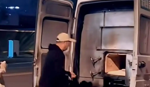 焚化炉送上门,宠物殡葬规范化刻不容缓 焚化炉送上门,宠物殡葬规范化刻不容缓