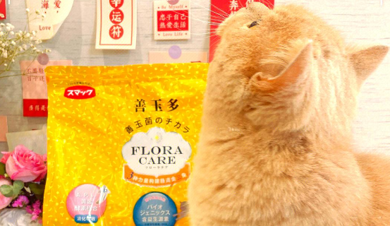 猫粮品牌哪个好？斯玛库善玉多猫粮，维持猫咪肠道菌平衡！