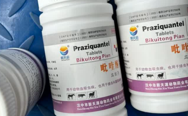 如何科学驱虫？解析新天源吡喹酮片的护宠价值
