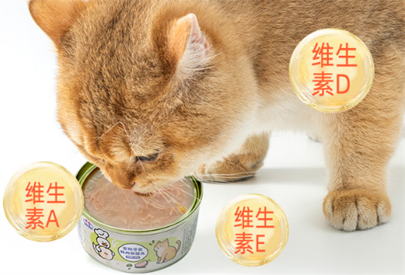 猫咪罐头怎么选？福宠岛鸭肉梨罐头藏着“驯服”秘诀