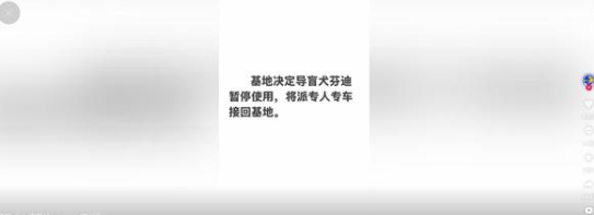 两名盲人带导盲犬爬泰山引争议:网友呼吁将狗狗收回 两名盲人带导盲犬爬泰山引争议:网友呼吁将狗狗收回