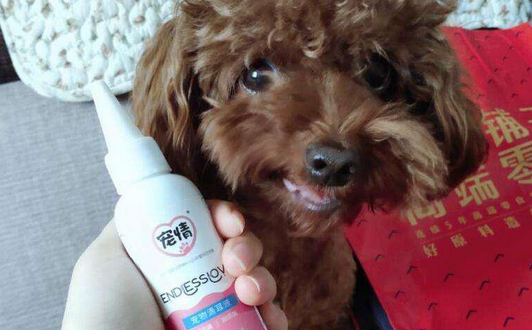 宠情滴耳液怎么样 宠情滴耳液怎么样