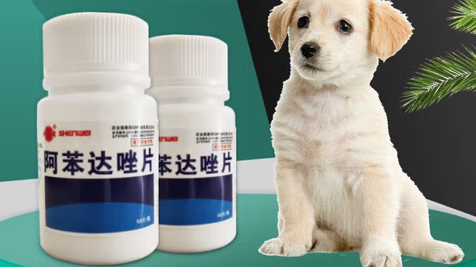 宠物驱虫药哪个牌子好？神威，高效驱虫新选择！