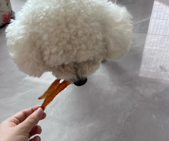 泰迪买什么狗零食好?100% 纯肉的麦富迪原切鸭肉干不容错过 泰迪买什么狗零食好?100% 纯肉的麦富迪原切鸭肉干不容错过