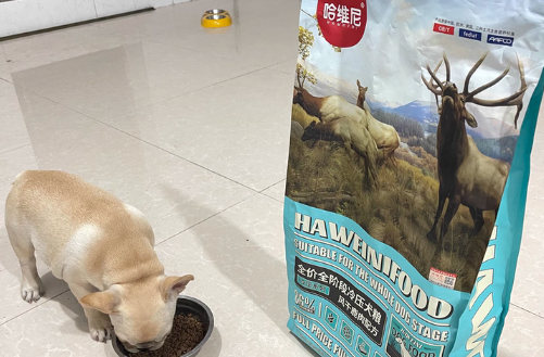 哈维尼法斗粮——法斗狗粮品牌排行榜里的天然担当！