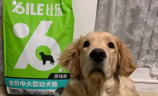 金毛狗粮品牌排行榜:比乐中大型成犬粮冻干加量,美味更营养 金毛狗粮品牌排行榜:比乐中大型成犬粮冻干加量,美味更营养