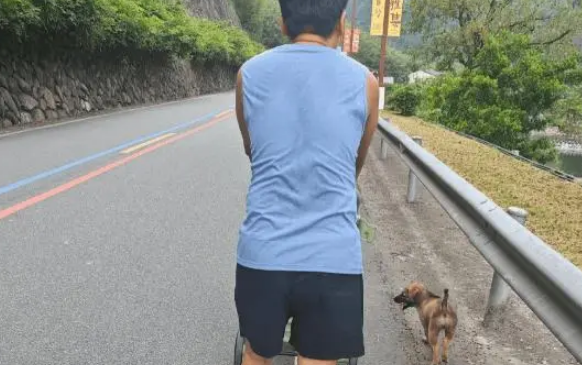 女子家经常喂流浪狗,小狗以为自己是家里的一员了 女子家经常喂流浪狗,小狗以为自己是家里的一员了