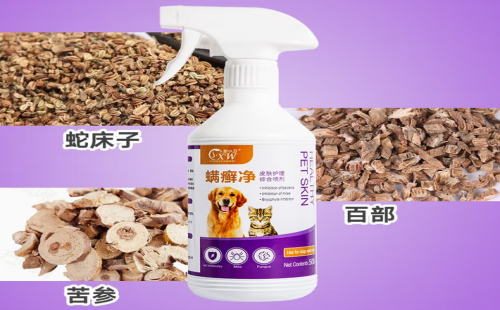 宠小卫