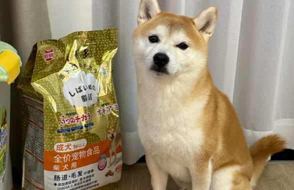 柴犬狗粮品牌推荐:斯玛库益生菌柴犬粮呵护肠道有一套! 柴犬狗粮品牌推荐:斯玛库益生菌柴犬粮呵护肠道有一套!
