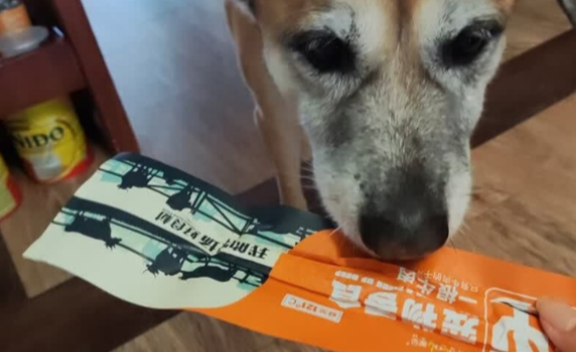狗狗零食肉条推荐首选蒙贝纯牛肉干，肠胃0负担