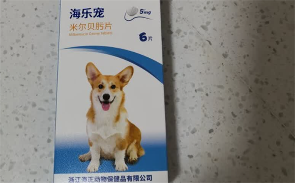 寻效果出众的宠物驱虫药？海乐宠对狗狗的守护力值得一看