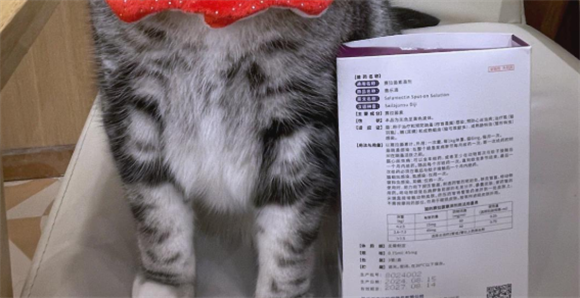 新手养猫驱虫轻松搞定?赛乐滴内外同驱药,让驱虫变简单 新手养猫驱虫轻松搞定?赛乐滴内外同驱药,让驱虫变简单