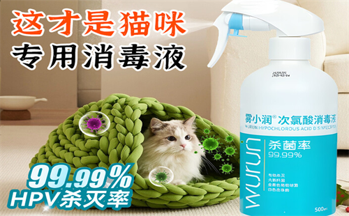 雾小润