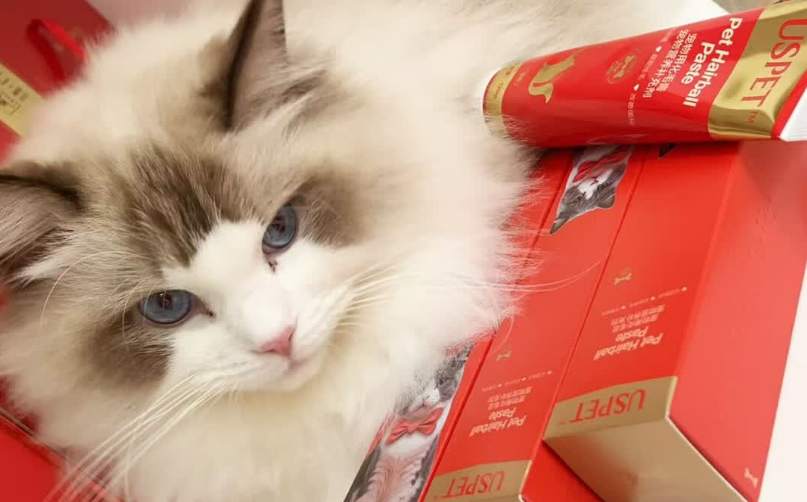 猫咪毛球问题难解决？快安排上优斯派USPET猫咪化毛膏！