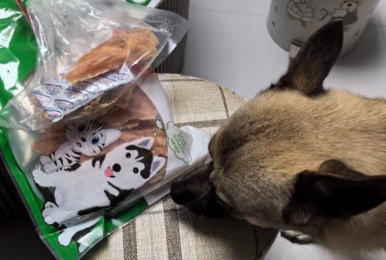狗狗可以吃的零食品牌推荐憨憨乐园鸡胸肉,低温烘焙牢牢锁住营养 狗狗可以吃的零食品牌推荐憨憨乐园鸡胸肉,低温烘焙牢牢锁住营养