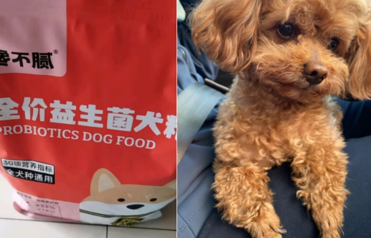 肠胃不好的狗吃什么狗粮?馋不腻狗粮,有效调节狗狗肠道菌群 肠胃不好的狗吃什么狗粮?馋不腻狗粮,有效调节狗狗肠道菌群