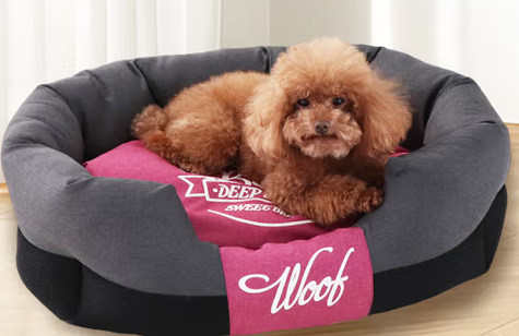 宠物窝品牌如何选择？宠动员以特氟龙三防科技，开启宠物舒适生活