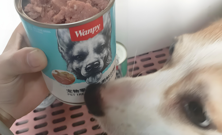 狗零食罐头推荐：顽皮鲜封罐，鲜肉营养的安心之选