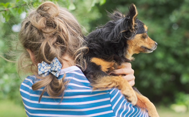 英国研究:养宠物价值等同于年薪7万英镑 英国研究:养宠物价值等同于年薪7万英镑