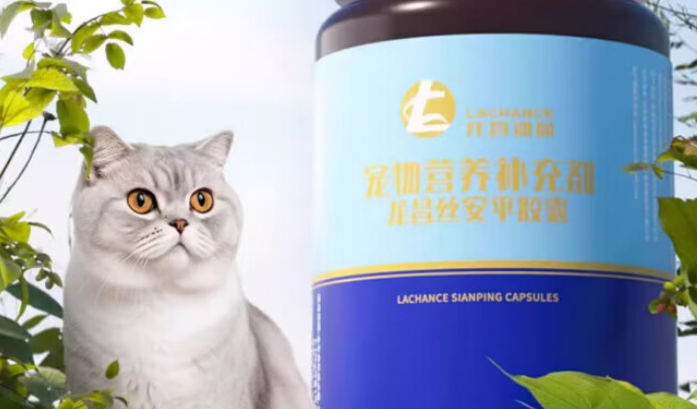 龙昌小宠丝安平有什么用 龙昌小宠丝安平有什么用