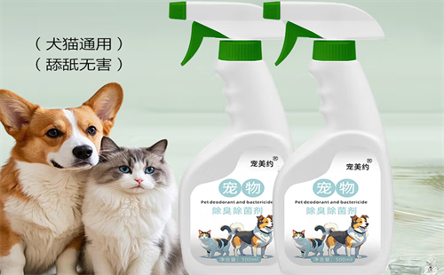 宠美约