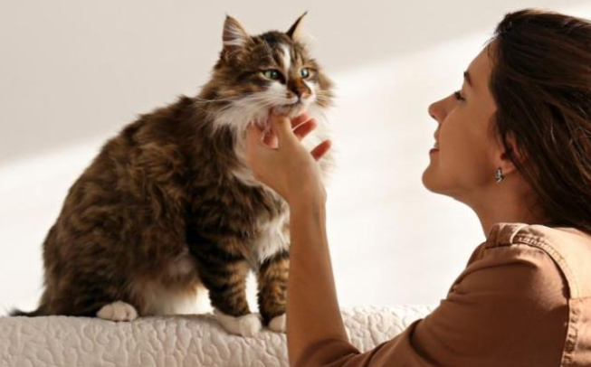 陪伴型动物保护立法,引导人们文明养宠 陪伴型动物保护立法,引导人们文明养宠